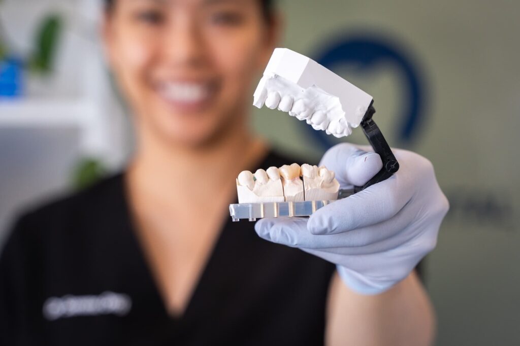 Dentist holding mouth model to show types of cavities